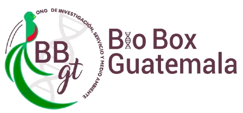 Bio Box Guatemala logotype